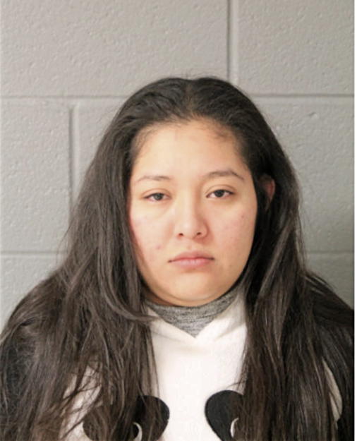 ALEIDI ADAME, Cook County, Illinois