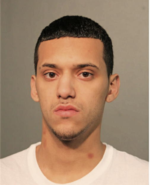 JAMIE C HERNANDEZ, Cook County, Illinois