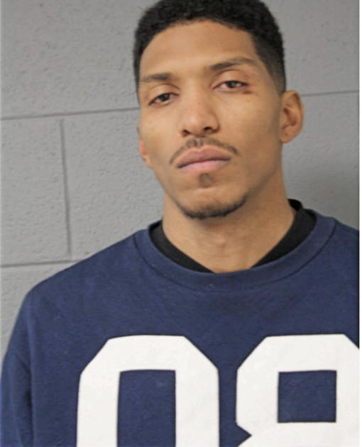 RON B CAZARES, Cook County, Illinois