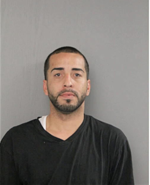 RAFAEL E DEJESUS, Cook County, Illinois