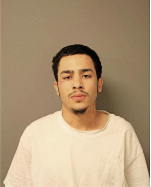 ANGEL L FELICIANO, Cook County, Illinois