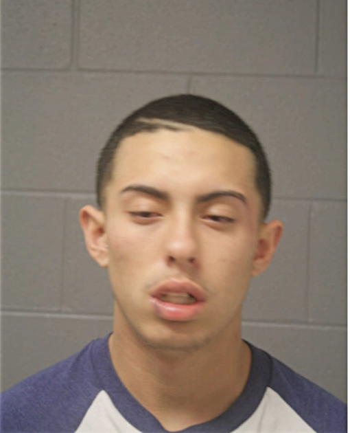 VICTOR GARCIA, Cook County, Illinois
