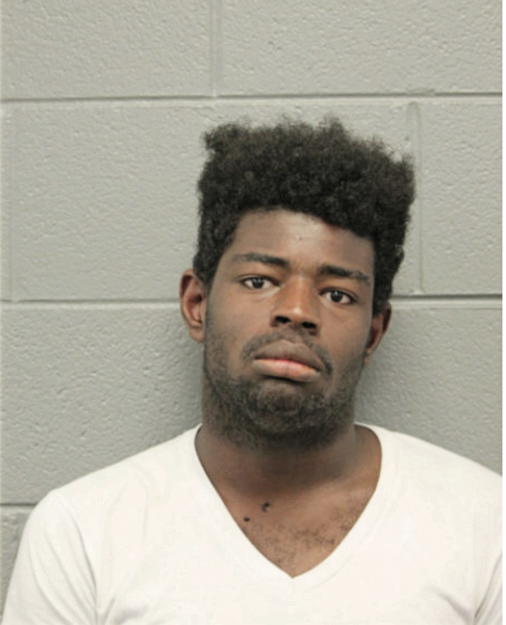 ERIC E HOWARD, Cook County, Illinois