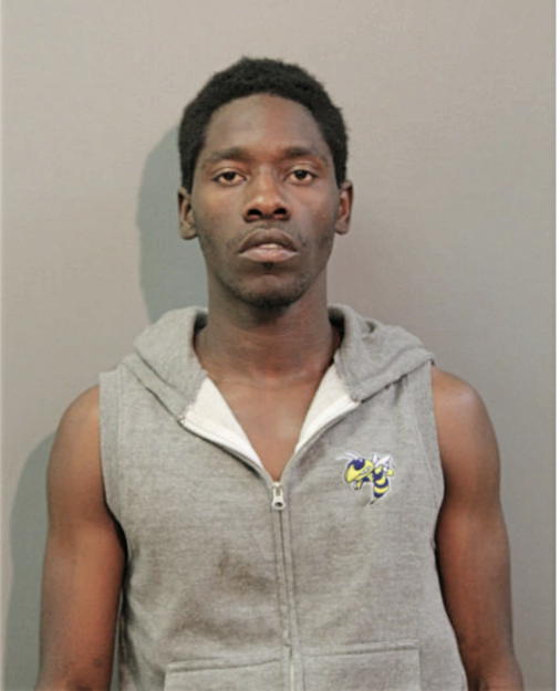 ANTHONY J HUDSON, Cook County, Illinois