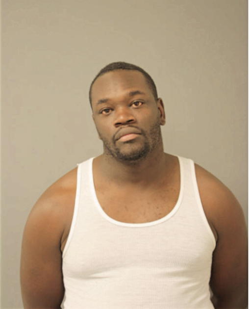 DAVID B JOHNSON, Cook County, Illinois
