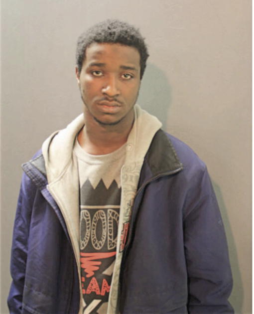 EUGENE J JOHNSON, Cook County, Illinois