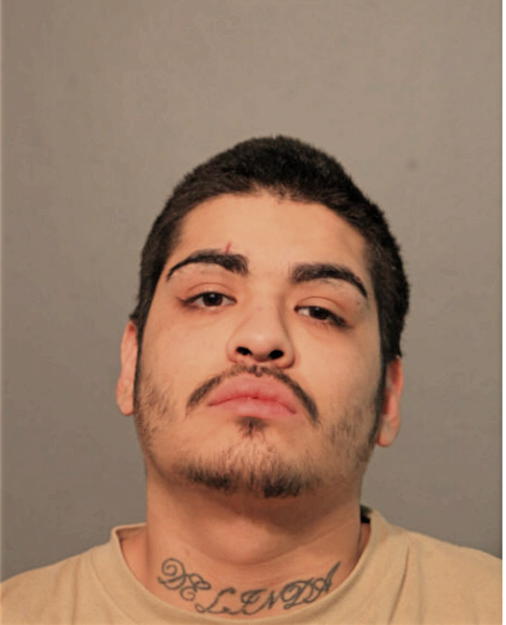 SANTAGO LEON, Cook County, Illinois