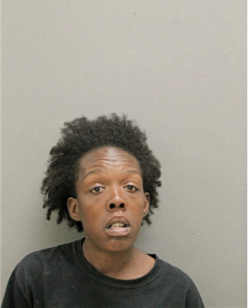 IVY E LIGHTFOOT, Cook County, Illinois