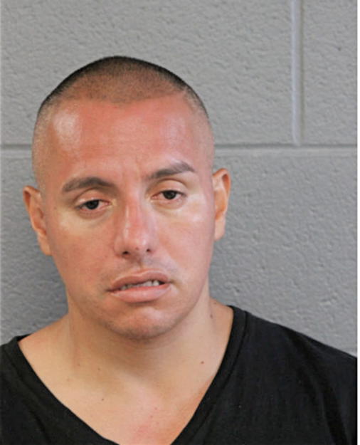 DANIEL LLERENAS, Cook County, Illinois
