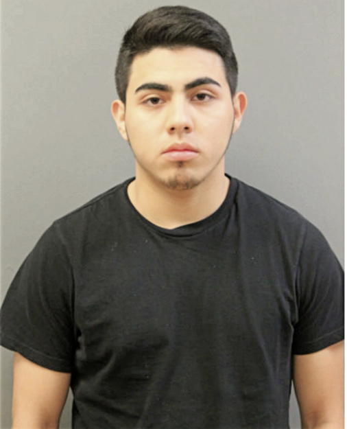 CHRISTOPHER J MARTINEZ, Cook County, Illinois
