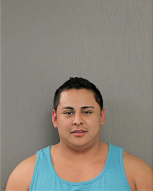 MARIO A MARTINEZ, Cook County, Illinois