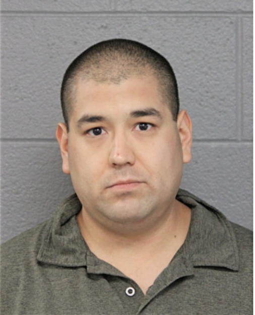 AARON R MAYORA, Cook County, Illinois