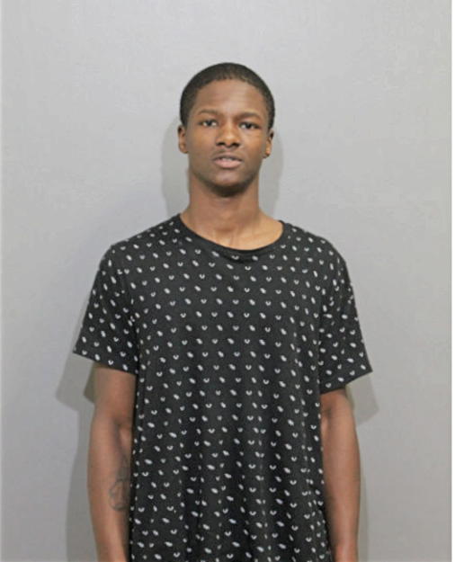 TRISTON J MONDAINE, Cook County, Illinois