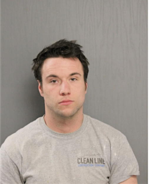 CHARLES W N LYONS, Cook County, Illinois