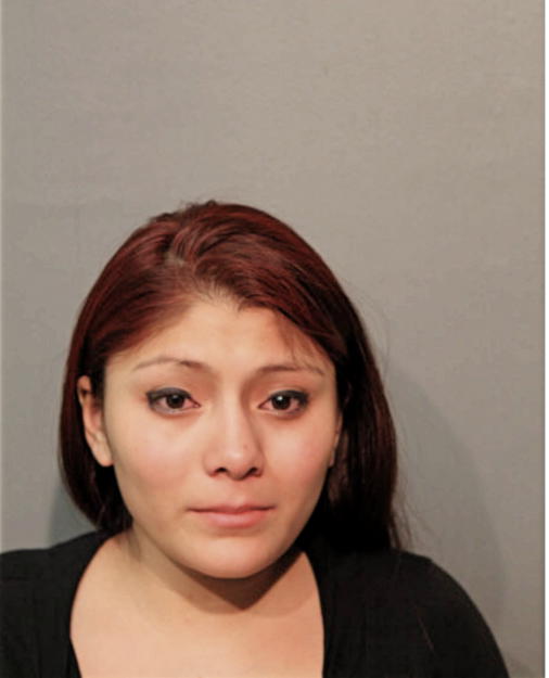 JOHANA PARADAS, Cook County, Illinois