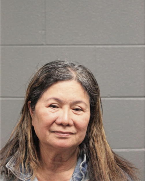 ELSIE V SANTIAGO, Cook County, Illinois