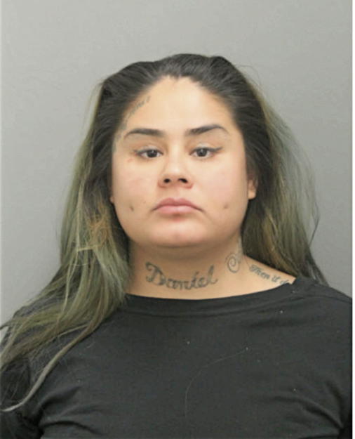 CARINA VILLEGAS, Cook County, Illinois
