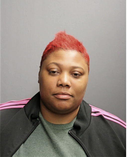 SHAMEKKA L ANDERSON, Cook County, Illinois