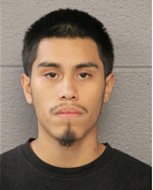 NOEL S ANDRADE, Cook County, Illinois
