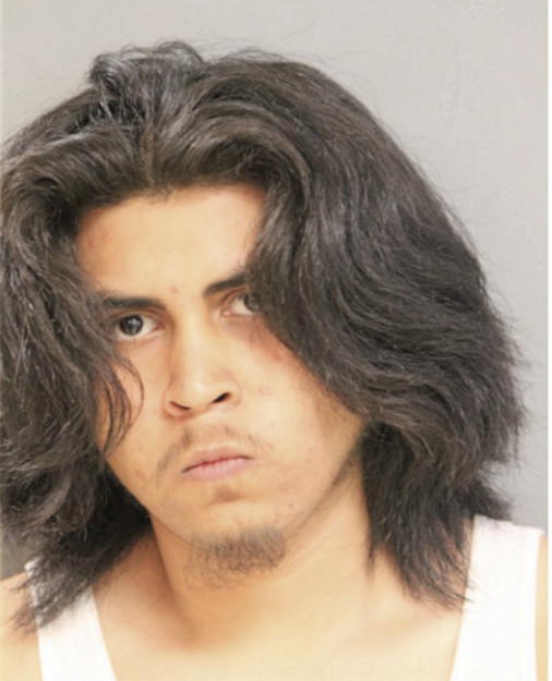 PEDRO ARRIAGA, Cook County, Illinois