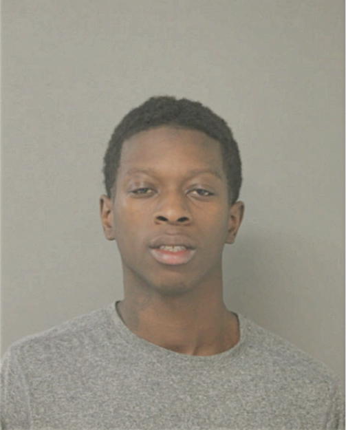 FRANCIS D ASIEDU, Cook County, Illinois
