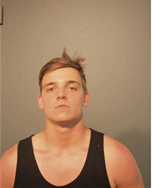 STEVEN G BELOVICH, Cook County, Illinois