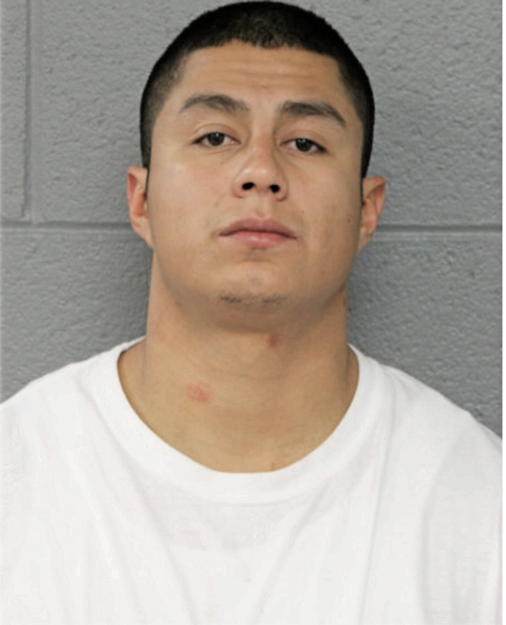 OMAR BERRONES, Cook County, Illinois