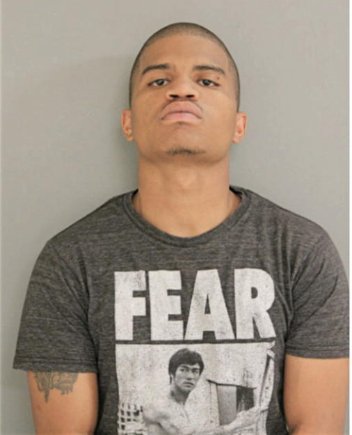 MICHAEL T BLAKE, Cook County, Illinois