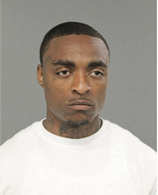 TYRONE L BROWN, Cook County, Illinois
