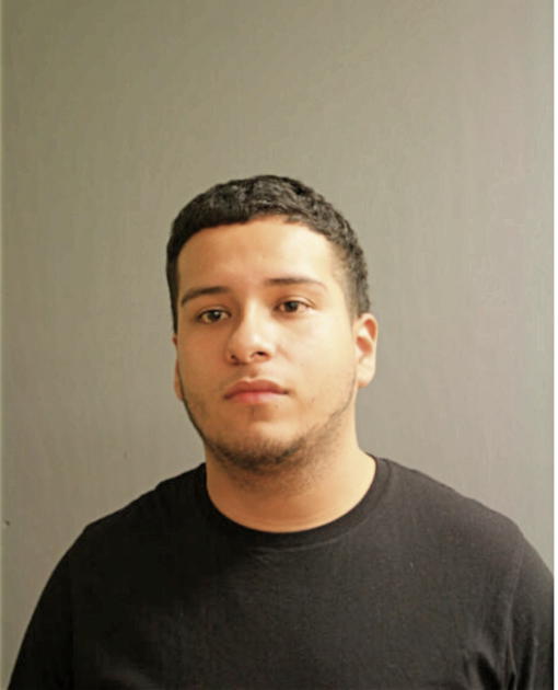 FAUSTO BUSTAMANTE, Cook County, Illinois