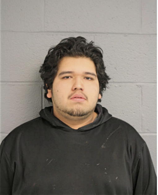 SAMUEL FABIAN, Cook County, Illinois