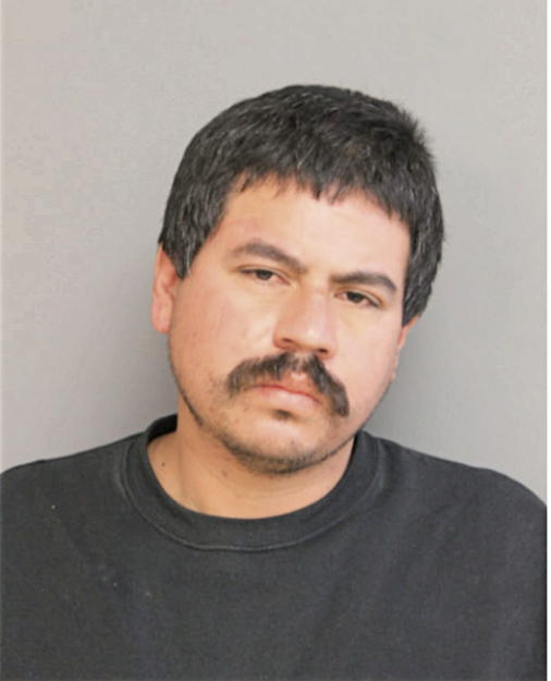 MELCHOR C FLORES, Cook County, Illinois