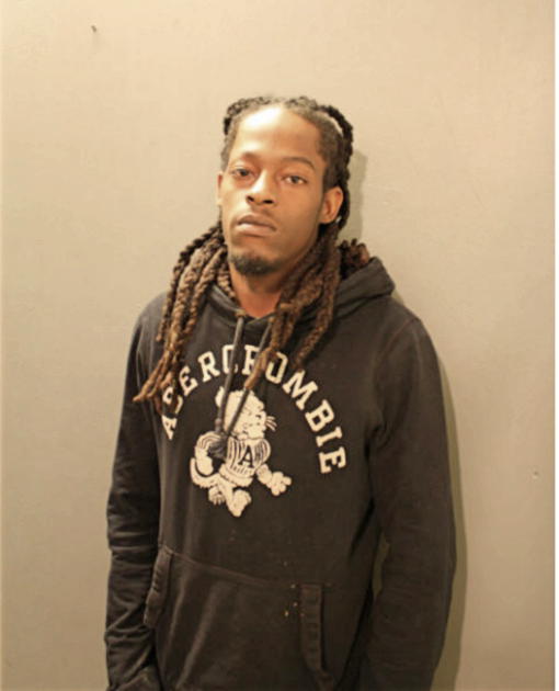 KERRY R FORD, Cook County, Illinois