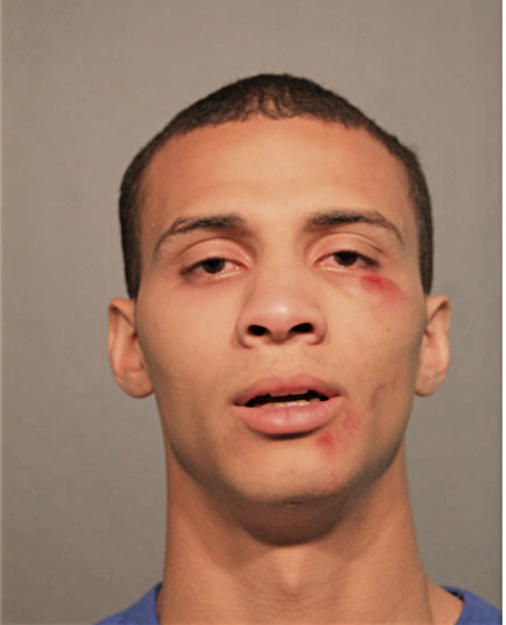 DYLAN P FOSTER, Cook County, Illinois