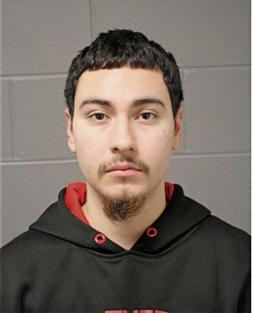 SERGIO GARCIA, Cook County, Illinois