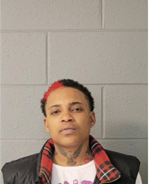 BRITTANY T HAYWOOD, Cook County, Illinois