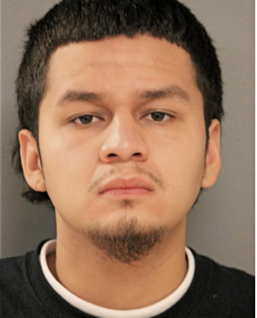 LUIS F HERNANDEZ, Cook County, Illinois