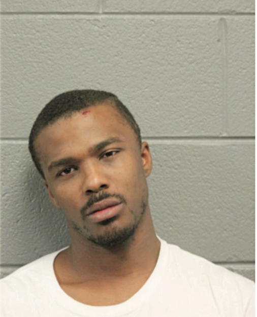 CLARENCE T LANG, Cook County, Illinois