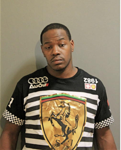 RONALD M LEWIS, Cook County, Illinois
