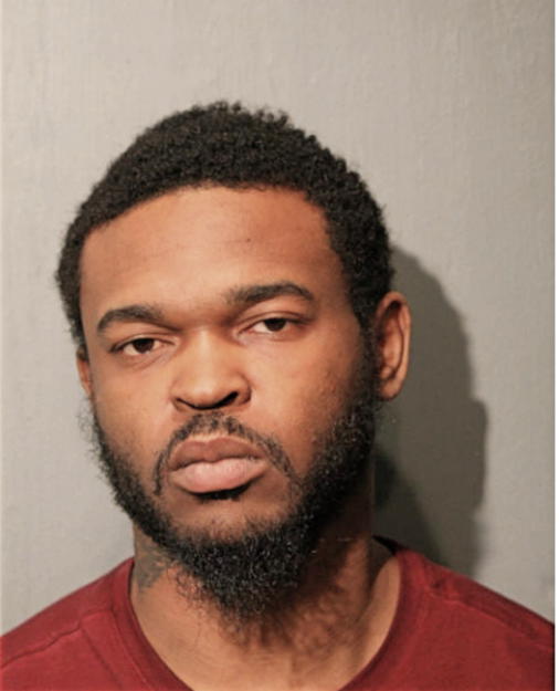 DANTE L MCNUTT, Cook County, Illinois