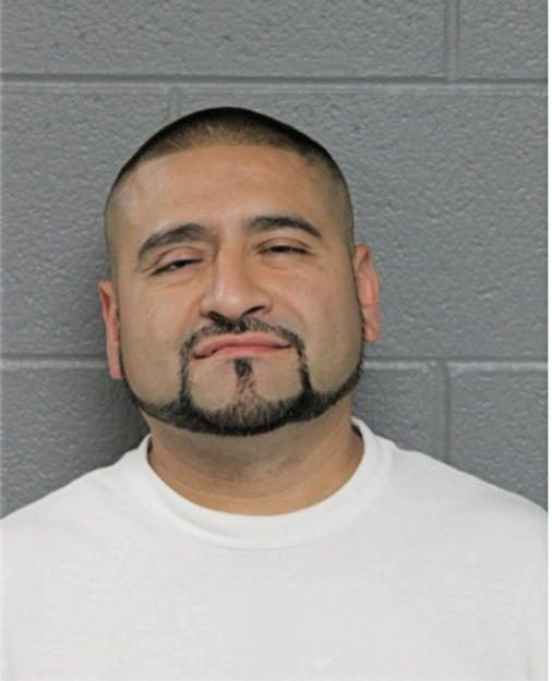 NOE MORENO, Cook County, Illinois