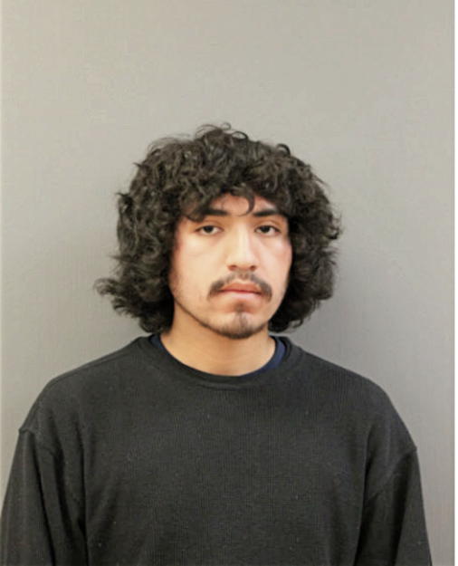 ERIC O NAVA, Cook County, Illinois