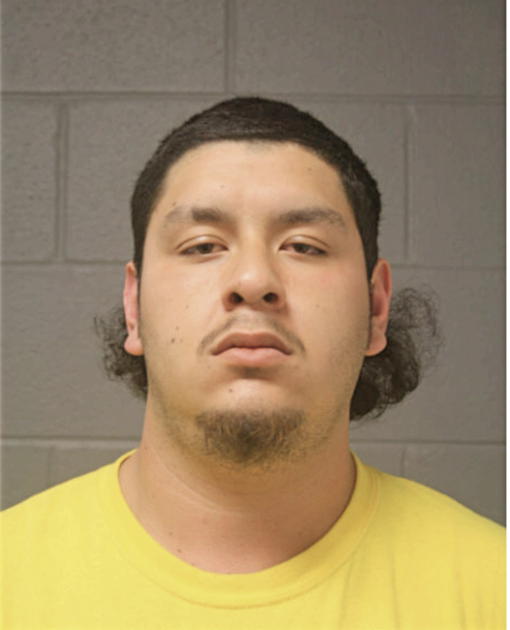 MIGUEL OCHOA, Cook County, Illinois