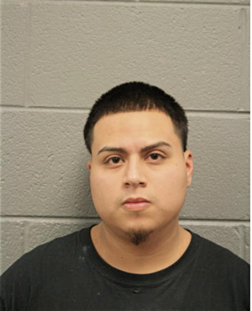 DARWIN PENA, Cook County, Illinois