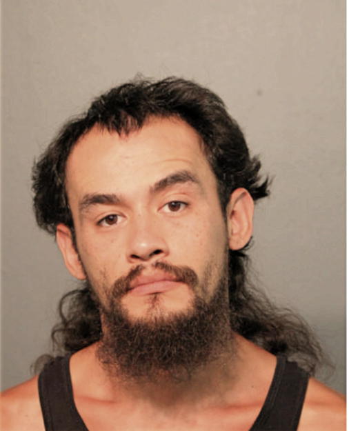 JUAN L RAMOS, Cook County, Illinois