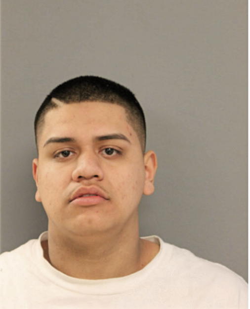 EFRAIN REYES, Cook County, Illinois