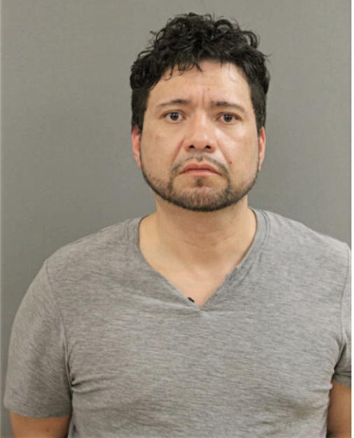HUBERT D RUIZ, Cook County, Illinois