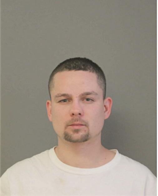 PRZEMYSLAW P SANETRA, Cook County, Illinois