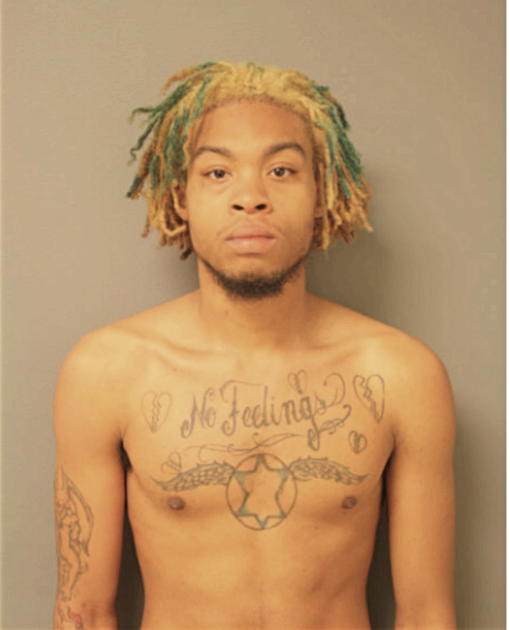 CHRISTIAN TURNER, Cook County, Illinois