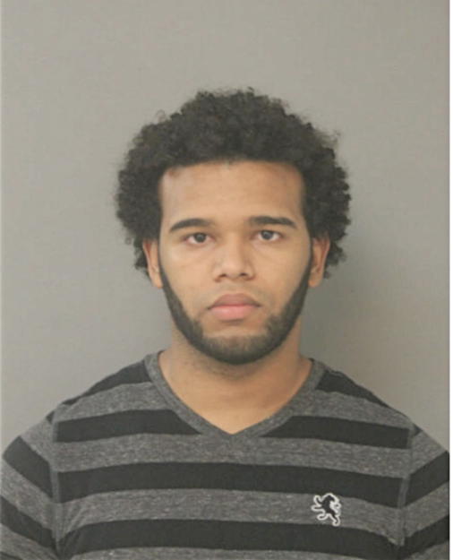 WILLY R VARGAS POLANCO, Cook County, Illinois